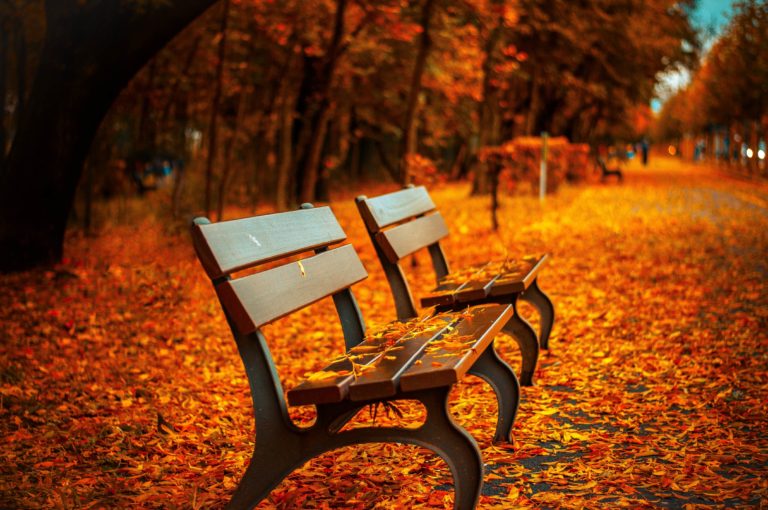 4 Ways to Welcome Fall with Outdoor Activities in Nashville