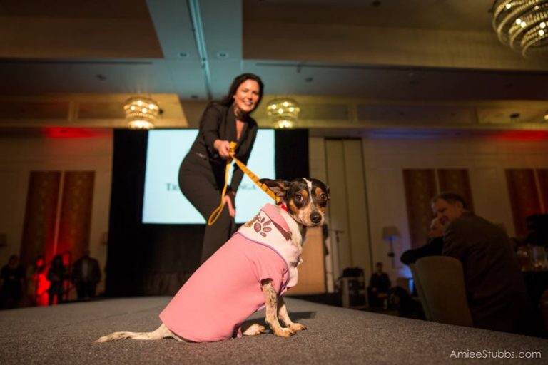 Take Your Pup to Prom at Nashville Humane’s Unleashed: Dinner with your Dog