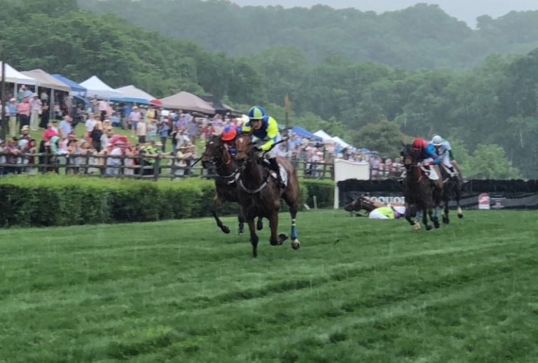 Steeplechase Cancels 2020 Event