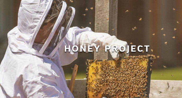 Virtual 5K Raises Money for Honey Project