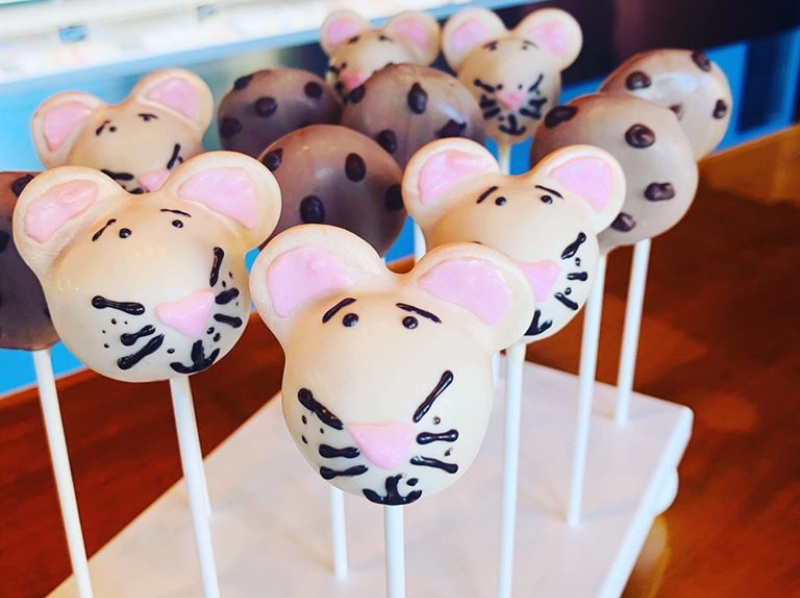Cakepop Heaven Closes Storefront Wannado Nashville