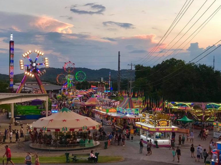 Williamson County Fair Offers Family-Friendly Virtual Events