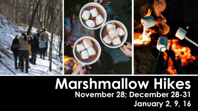 marshmallow hike owls hill nature sanctuary