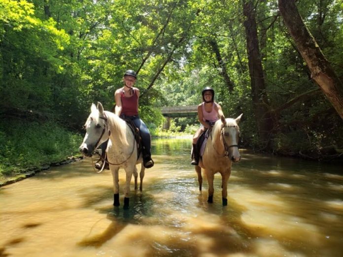 Creekside Riding Academy and Stables