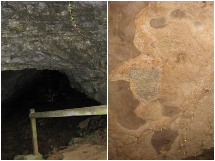 Photos from Bell Witch Cave Website