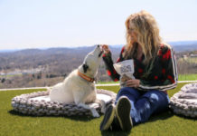 Trisha Yearwood Launches New Pet Collection trisha yearwood pet collection