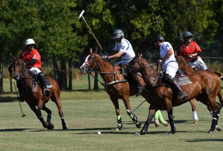 Chukkers for Charity Returns this Fall to Franklin